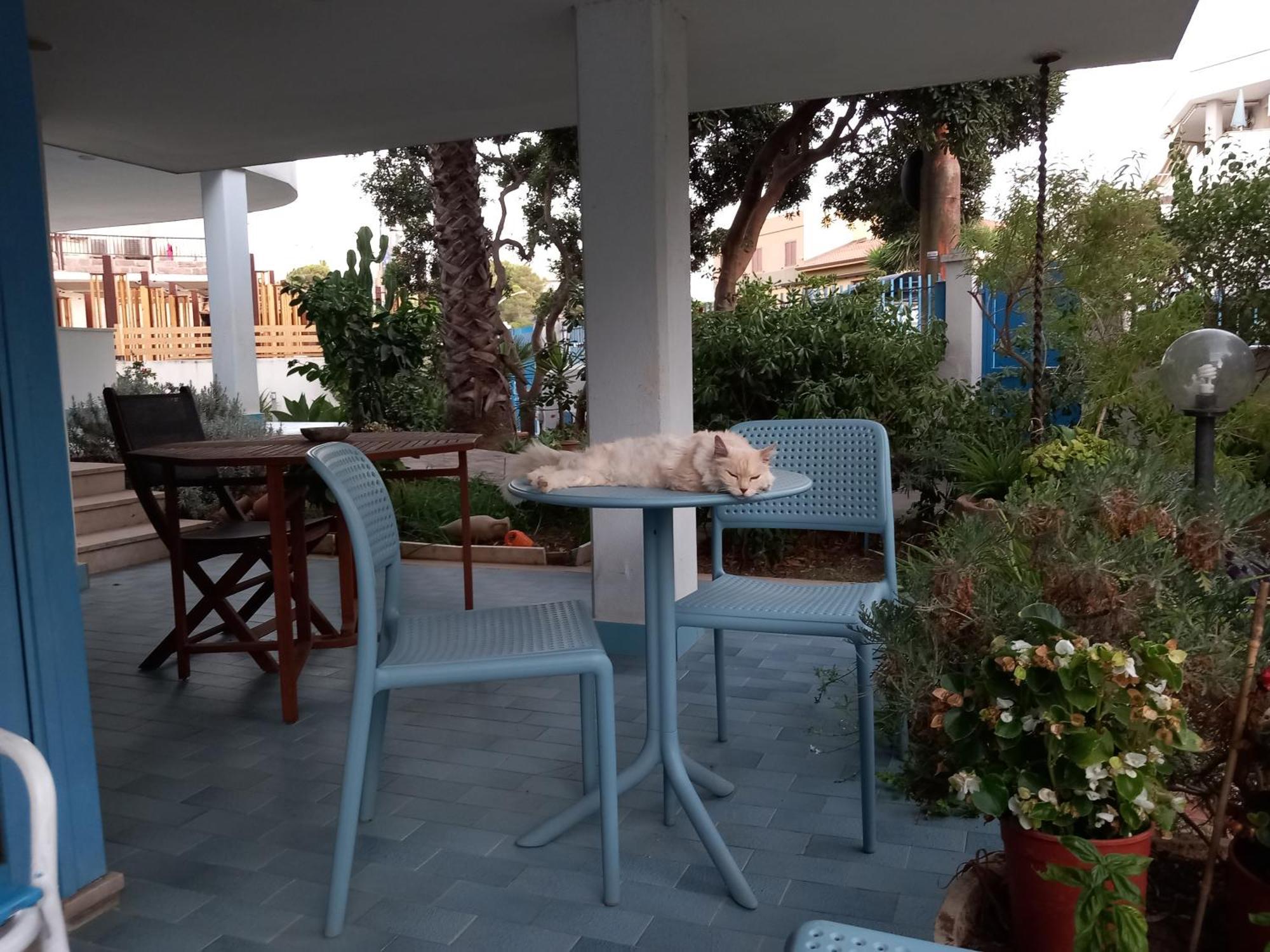 Villa Teodora Alghero Dış mekan fotoğraf